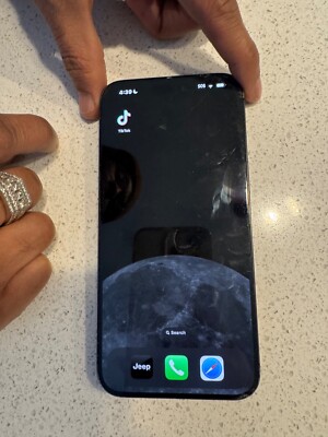Apple iPhone 15 Pro Max - 256 GB - Black with TikTok installed 