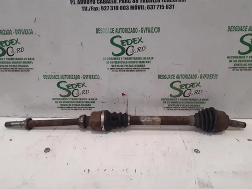 febi bilstein 43160 testina sterzo con dado a corona e coppiglia