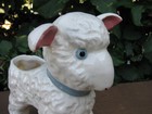 Bild 9 von 12