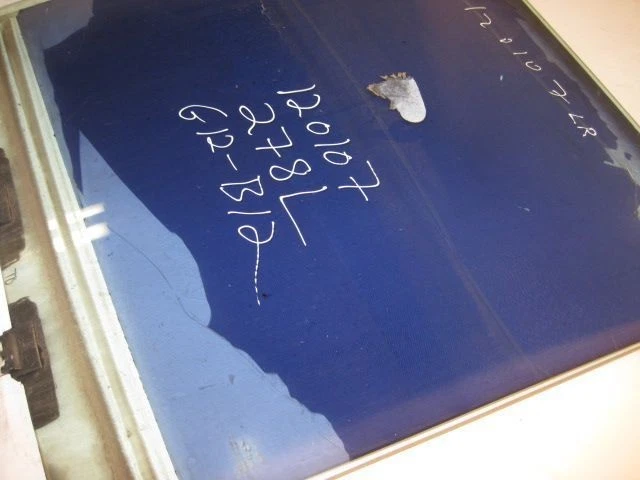 Cristal puerta conductor trasero OEM 1998 1999 2000 2001 2002 2003 2004 Isuzu Rodeo Foto 3 de 4