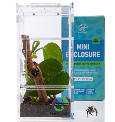 Jumping Spider Enclosure Praying Mantis Habitat Insect Terrarium Bug Cage