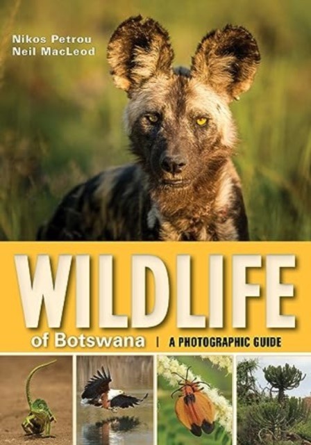 Wildlife of Botswana by Neil Macleod PAPERBACK 9781775841098 - Image 5
