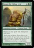 MTG Magic the Gathering Rare Dosan the Falling Leaf Champions of Kamigawa NM