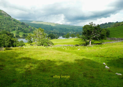 Photo 12x8 View from the bridleway up to Loughrigg Terrace, Rydal Town End c2021