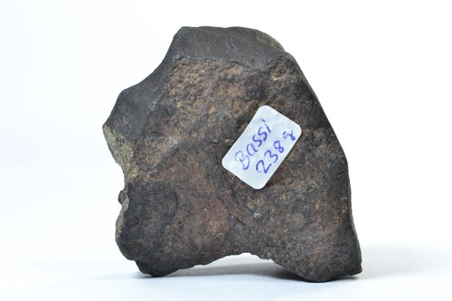 Meteorite BASSIKOUNOU - Chondrite H5 - fell 2006 in Mauretania - indiv. 237.7 g - Picture 7 of 12