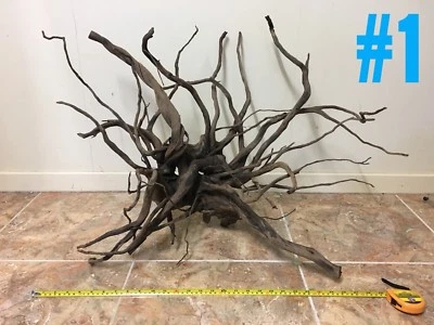 aquarium driftwood fish gumtree