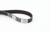NEU - Continental Ctam CT955 Zahnriemen FüR CitroËN Passend FüR Fiat Lancia