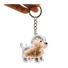 Dogair Collector Keychain Charm Memorial Storage Box, Transparent Bottle for H