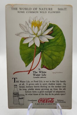 1930s Coca-Cola The World of Nature Series IV: Some Common Wild Flowers #9