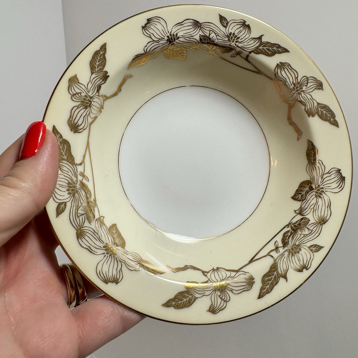 Set of 5 Vtg 1950's Noritake Floris 5088 Rim Fruit Dessert Sauce