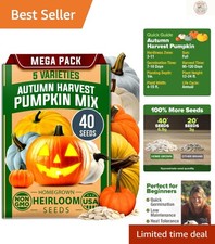 40+ Heirloom Pumpkin Seeds Mix – Connecticut Field, Blue, White & Mini Varieties