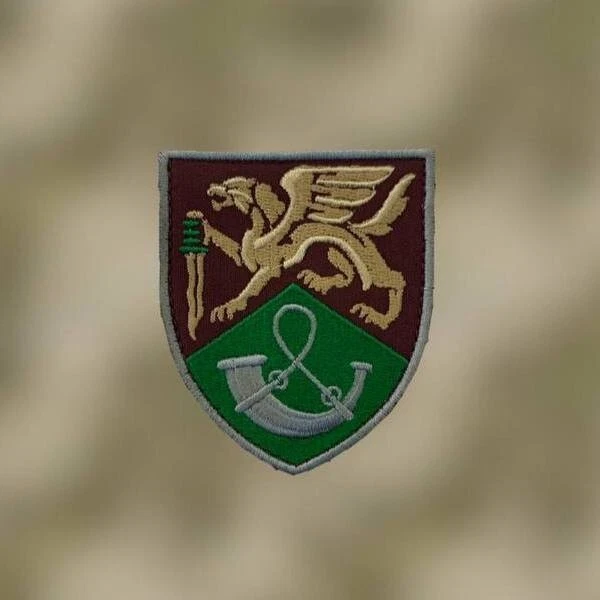 Tactical Chevron of the Ukrainian Army (Patch) 2014-2026