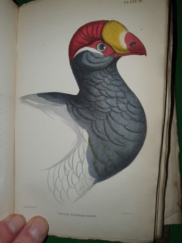 1837 BIRDS OF WESTERN AFRICA BY JARDINE 32 PLATES ORNITHOLOGY NATURALIST LIBRARY - Imagen 2 de 19