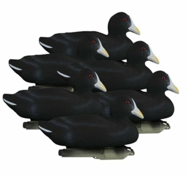 Coot Hunting Decoys for sale eBay
