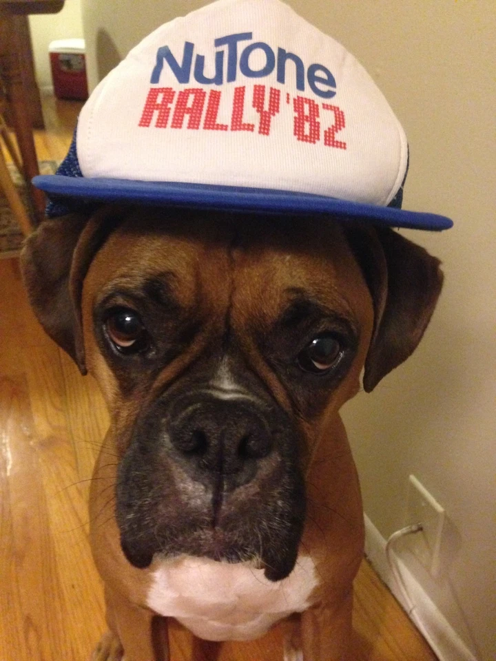 *NEW* Nutone ISA-339WH IS-339WH Outdoor Intercom Speaker im3303 ima3303 IS309 - Image 3 of 3