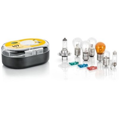 Sortiment Glühlampen 12 V W5W Halogen HELLA passend für u.a. HYMER