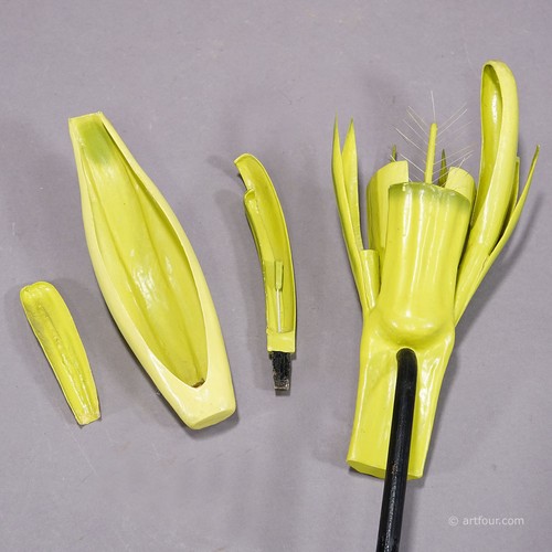 19th Century Botanic Model by Robert Brendel - Barley - Picture 5 of 7