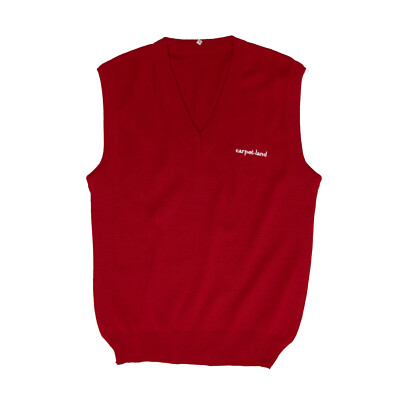 carpet-land (?) Rib Stitch Wool V Neck Team Sweater : L