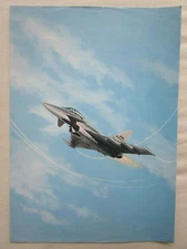 EFA EUROFIGHTER EUROPEAN FIGHTER AIRCRAFT STRAIGHT/BACK DOCUMENT