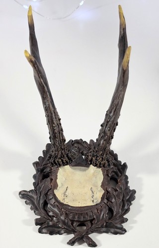 Faux Roe Deer Trophy Mount Plaque A48