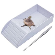 Tortoise Water Dish with Ramp Basking Platform Reptile Bowl Turtle Soaking White