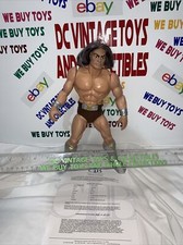 MOTU Vintage Tytus -Mexico 1986 Prototype Head & Hair Masters Of The Universe