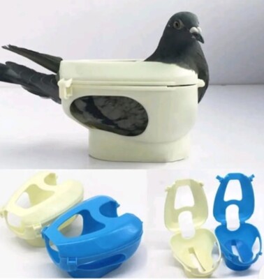 1Pc Racing Pigeon Holder For Injection Feeding Vaccination Mount Bird Suppli.WS