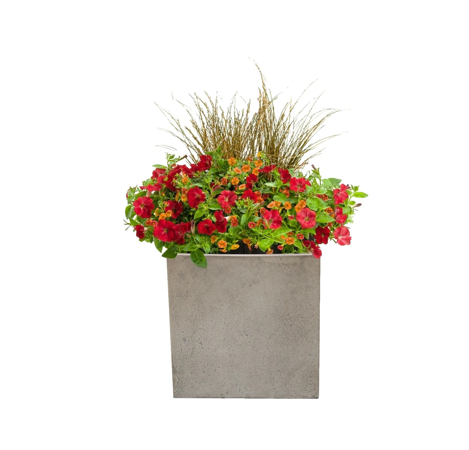 Cestas de plantas de fibra de vidrio, macetas, jardineras y Platillos