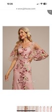 JJ's House Sheath/Column V-Neck Lace Floral Evening Dress Sz 10