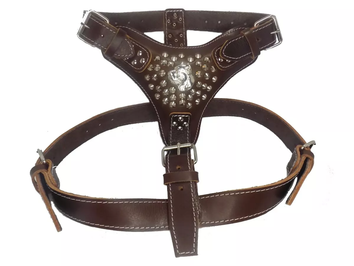 Cane corso cheap leather harness