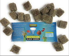 Australian Freeze Dried Black Worm Cubes With Baby Spinach 100grams