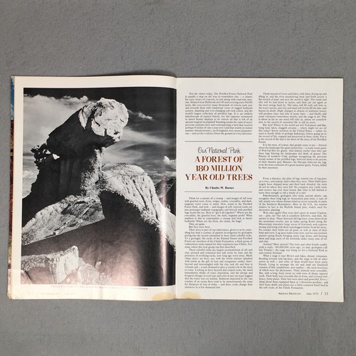 Arizona Highways Magazine June 1975 Summer Festival Petrified Forest Navajo - Picture 7 of 21