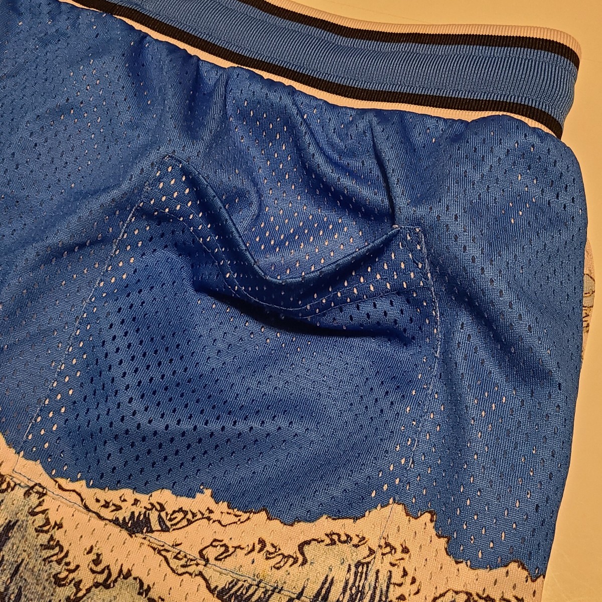 RIPNDIP Basketball Shorts Mens Sz Small MBN The Great Wave