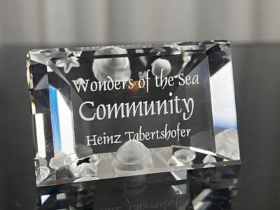 Swarovski Figur 898130 Schild Community. Top Zustand 