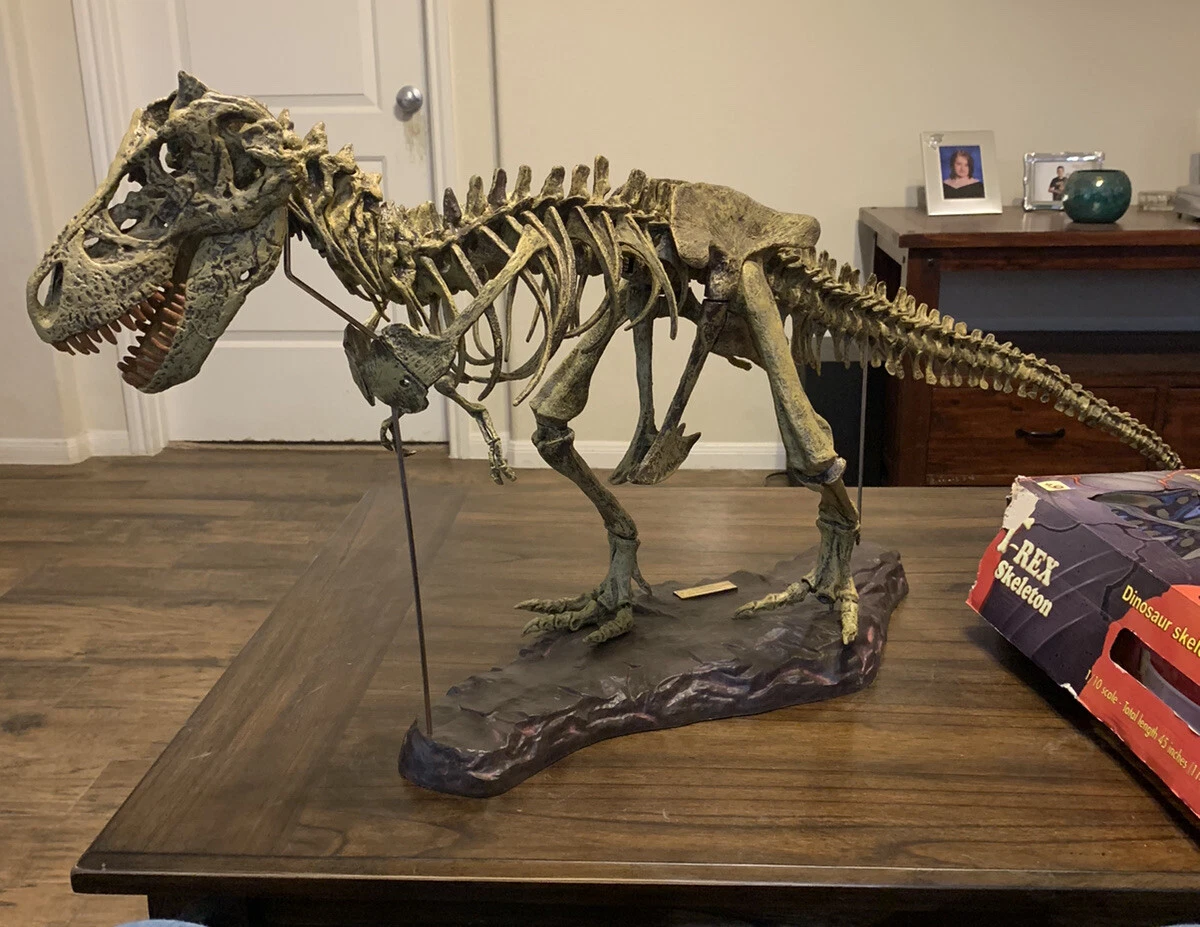 T-REX SKELETON 45