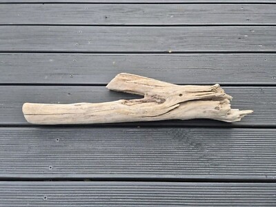 55 cm XXL Treibholz Schwemmholz Driftwood Dekoration Terrarium Stamm DIY Spanien