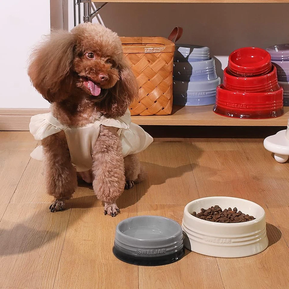 Cuenco degradado para perros, plato de comida de cerámica para perros y gatos medianos, porcelana para mascotas  Foto 3 de 4