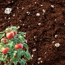 70/30 Coco Coir Perlite Mix | Fast-Draining Organic Potting Soil-Free Blend