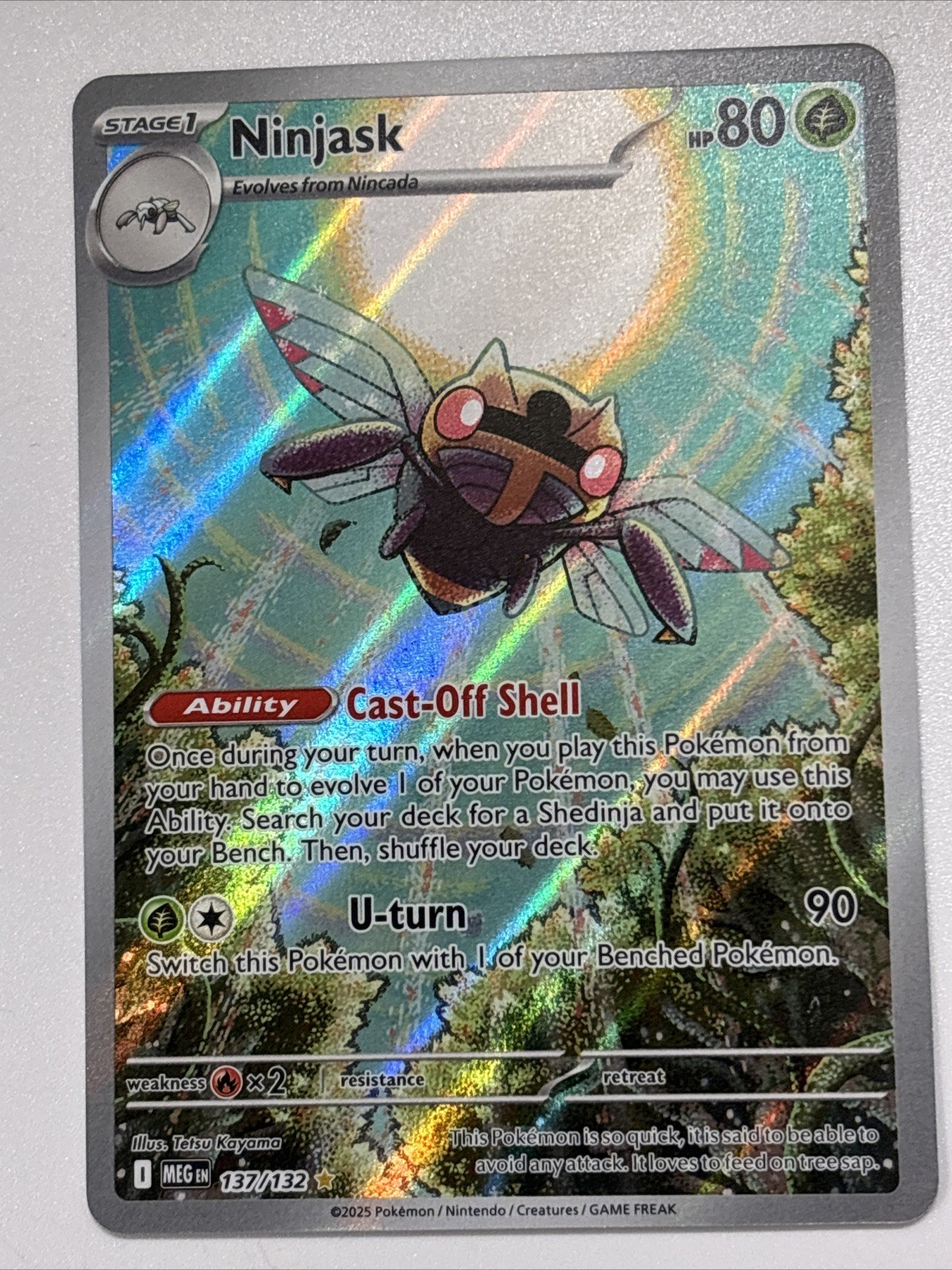 Ninjask 137/132 Illustration Rare Holo - Pokemon TCG - Mega Evolution