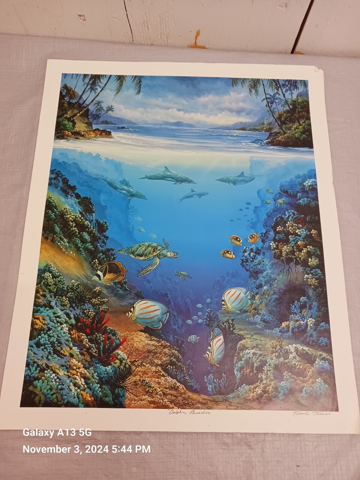 Hawaii "dolphin paradise"  Robert Thomas print  22" X 18" 
