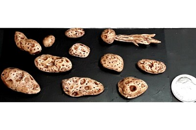 Sci Fi Pack of Metal Asteroids & Comet (11 pieces)