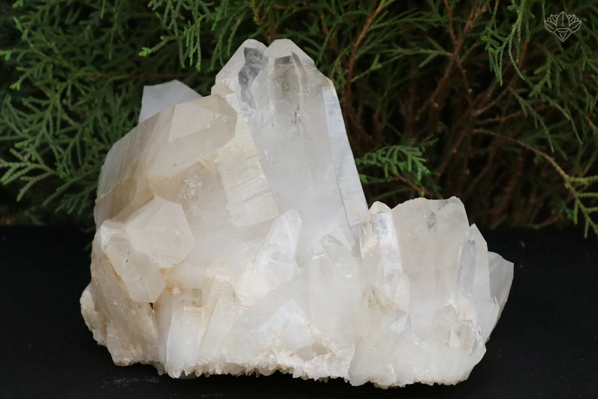 97.1 kg in hot sale stone