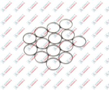 Bosch Rexroth A2FO125, A2FM125 Piston Ring R909831892 Set of 7 pc