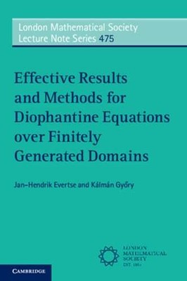 Effective Results and Methods for Diophantine Equations over Finitely Generated