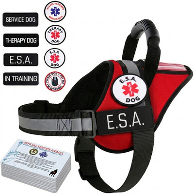 ESA Dog Harness   Service & Therapy Vest No Pull Handle ID Pocket + 10 ADA Cards
