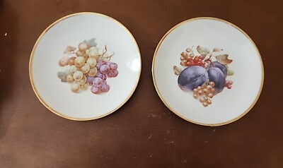 Vtg (2) ESCHENBACH BAVARIA GERMANY BARONET FRUIT BOTANICAL SALAD 8'' PLATES