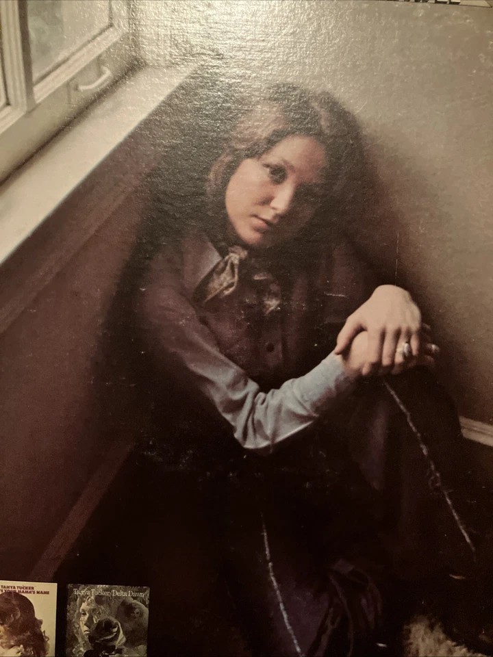 Country Vinyl Lot- Tanya Tucker, Charlie Rich, Statler Bros, Conway Twitty, Hits — 第 3/4 张图片