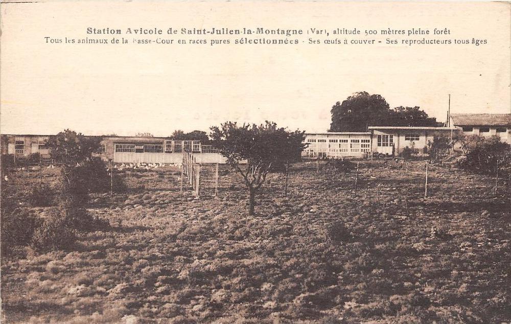 Photo 1/1