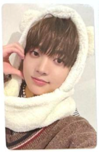 &TEAM 雪明かり Yukiakari UMS POB Animal Tarjeta Fotográfica Oficial Tarjeta PC - Imagen 27 de 42