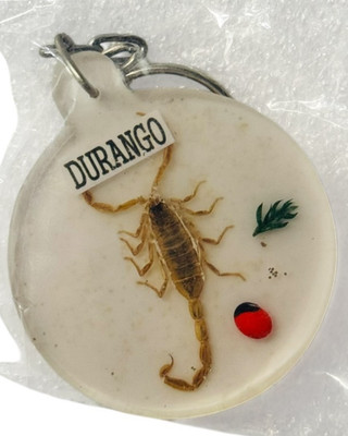 Unique Scorpion Resin Keychain Durango Souvenir Novelty Key Ring